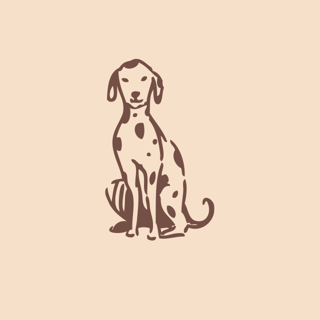 Holistic Dog Love - Kräuter Starter Bundle